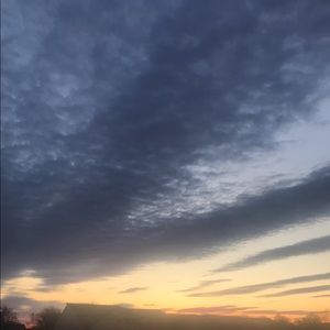 Meet your Posher, Suzy